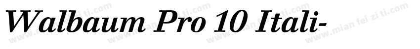 Walbaum Pro 10 Itali字体转换